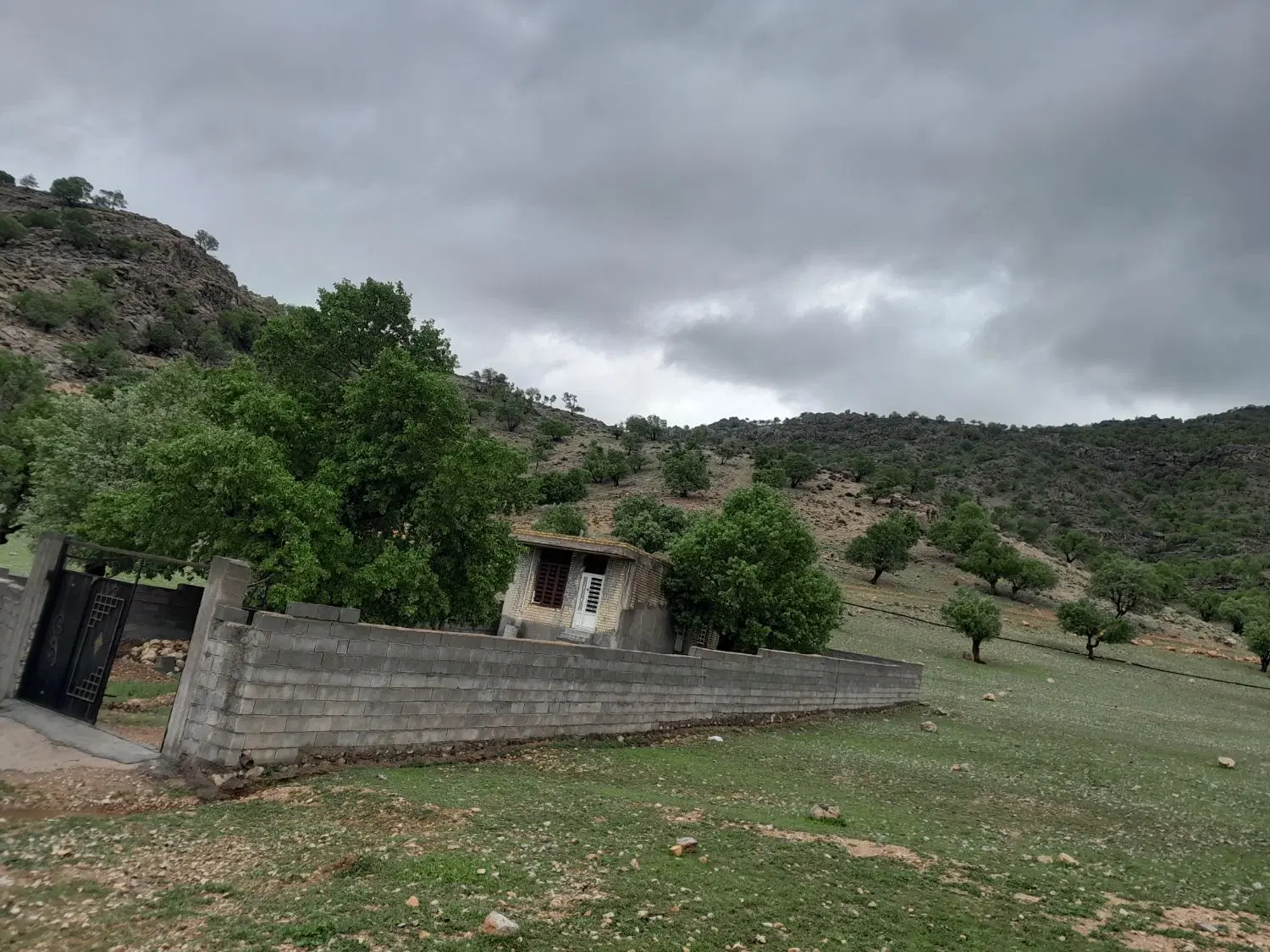 منرل ویلایی