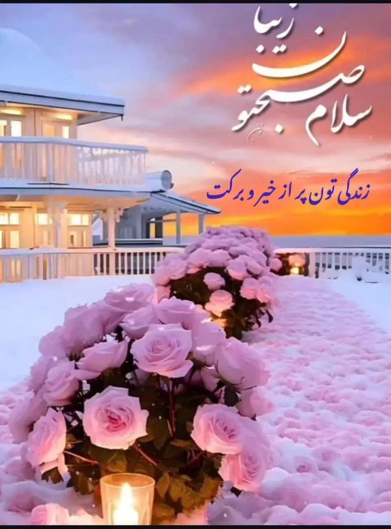 آپارتمان سفیر جنوبی کوچه۲