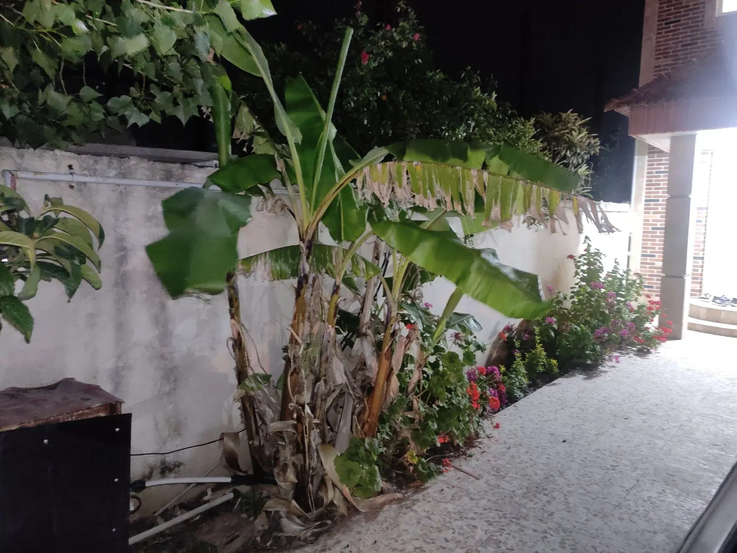 ویلا دربست اجاره ای روزانه