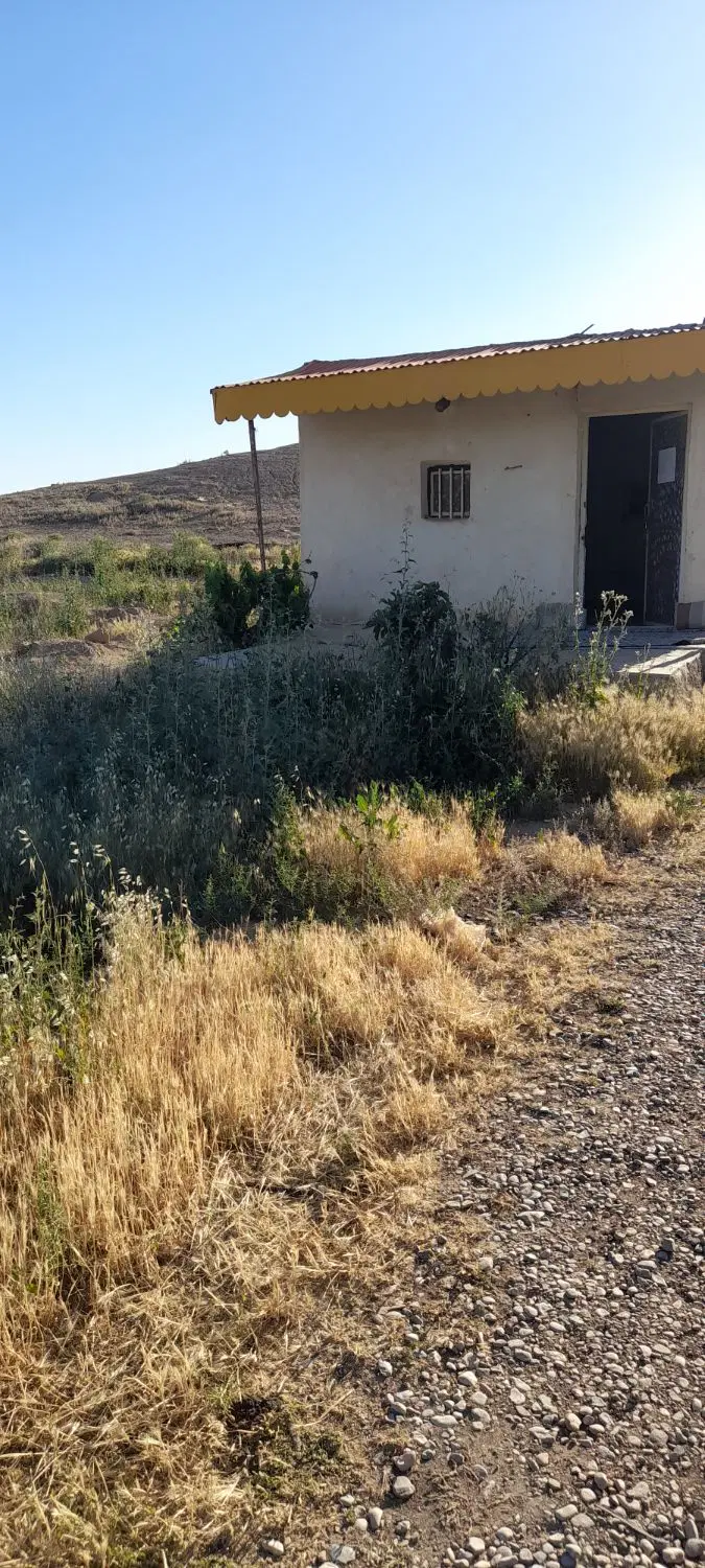 زمین باغ انگور با سهم آب