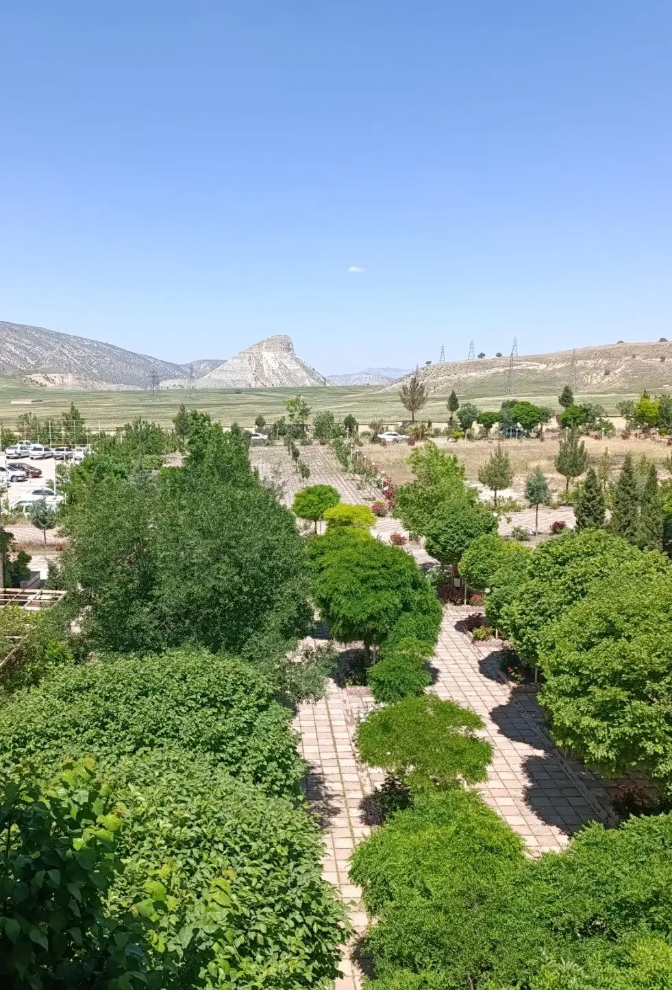فروش زمین بانجاو ایلام