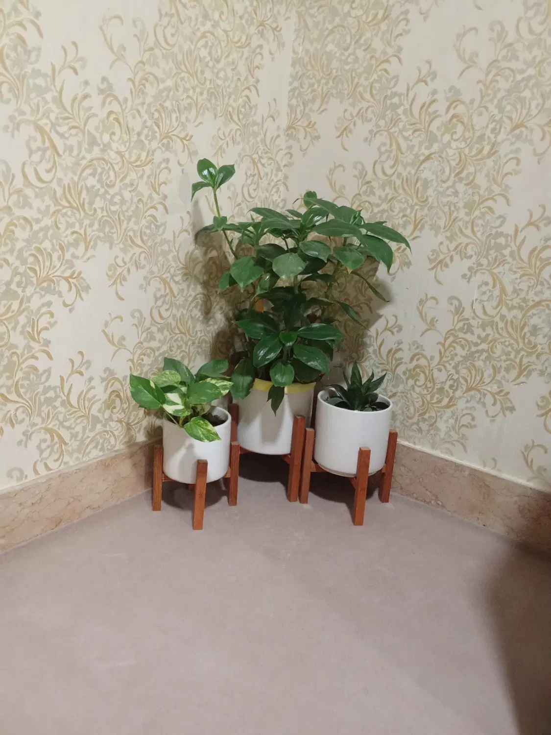 خانه اجارای خیابان مردوخ