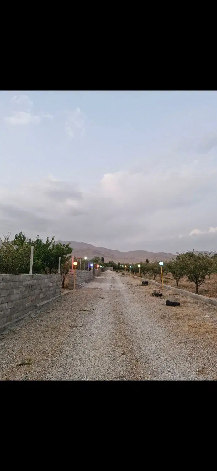زمین