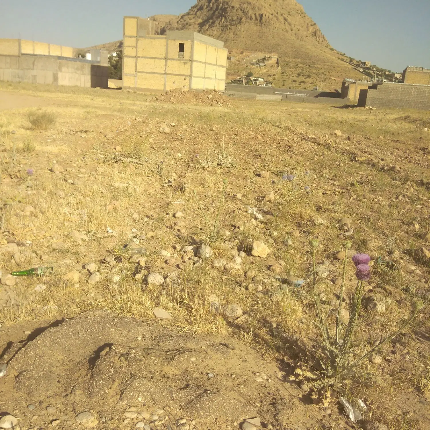 زمین مسکونی روستای کلستان