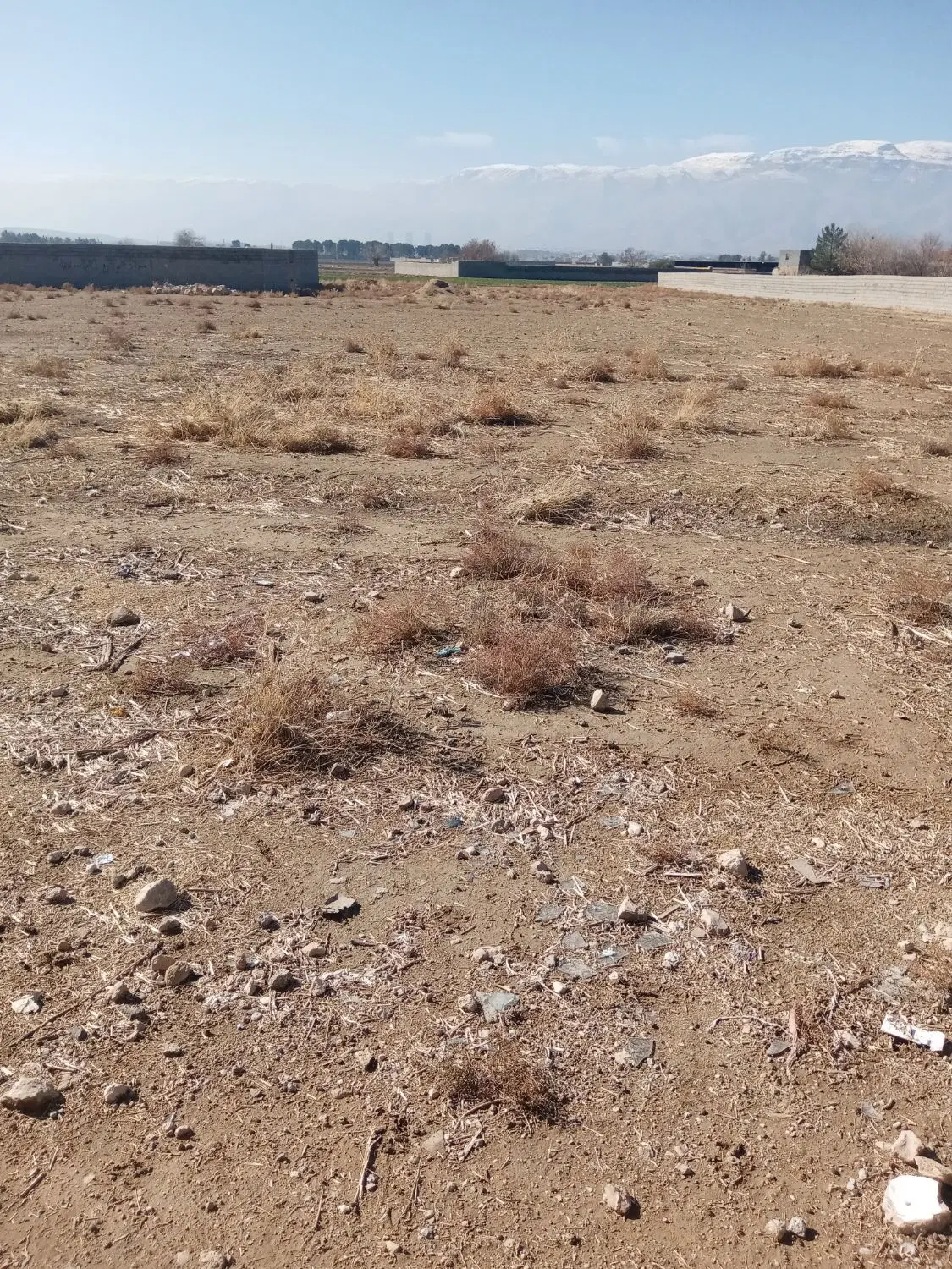 2000 زمین برای فروش
