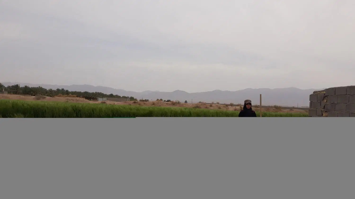 انبار اجاره ای