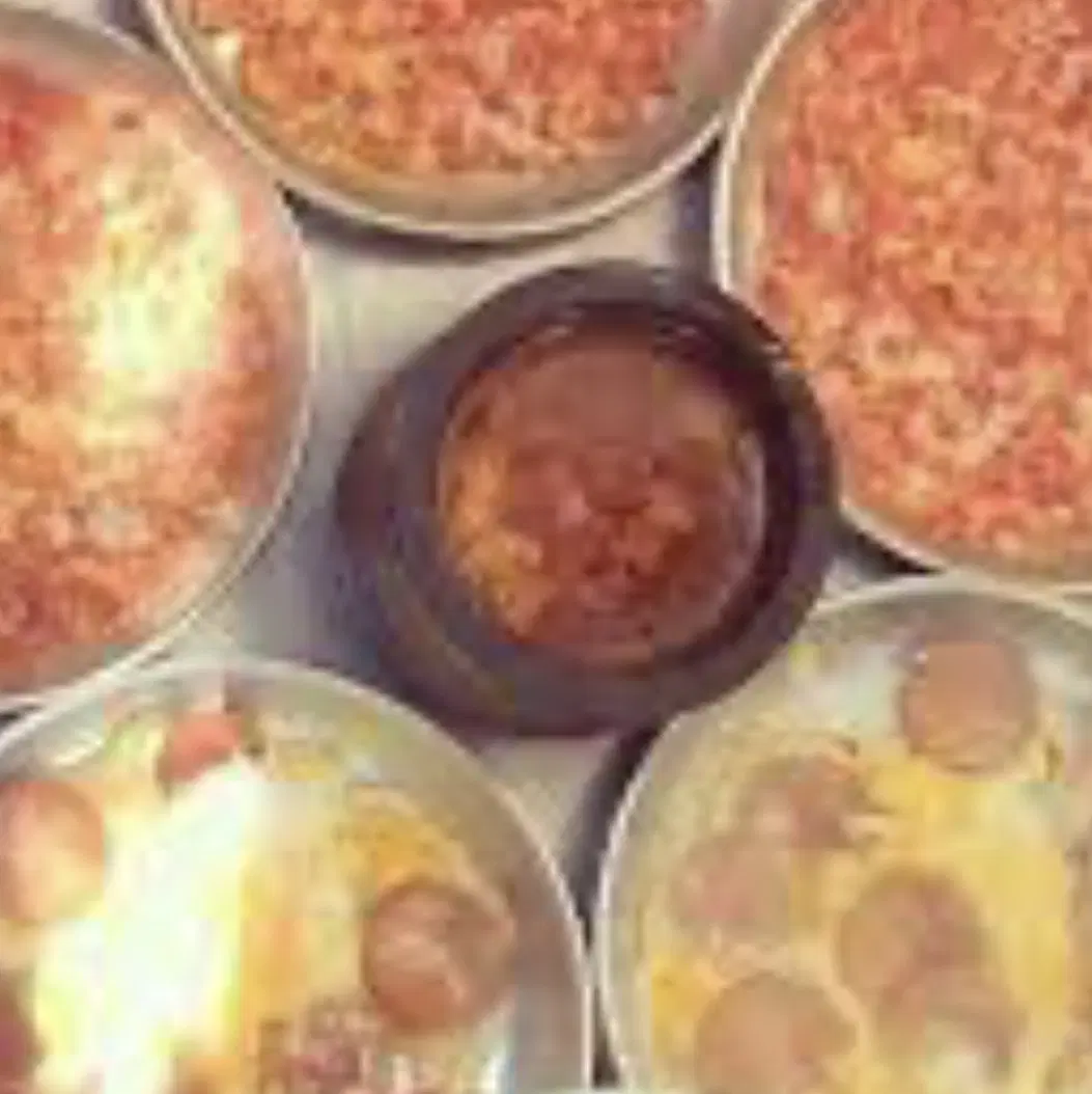‌واگذاری با وسایل غذا خوری