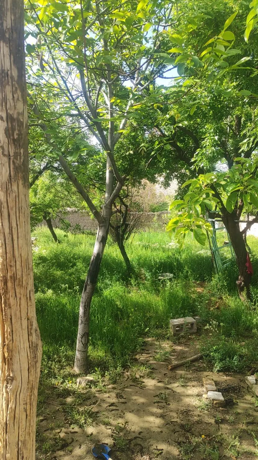 خانه باغ