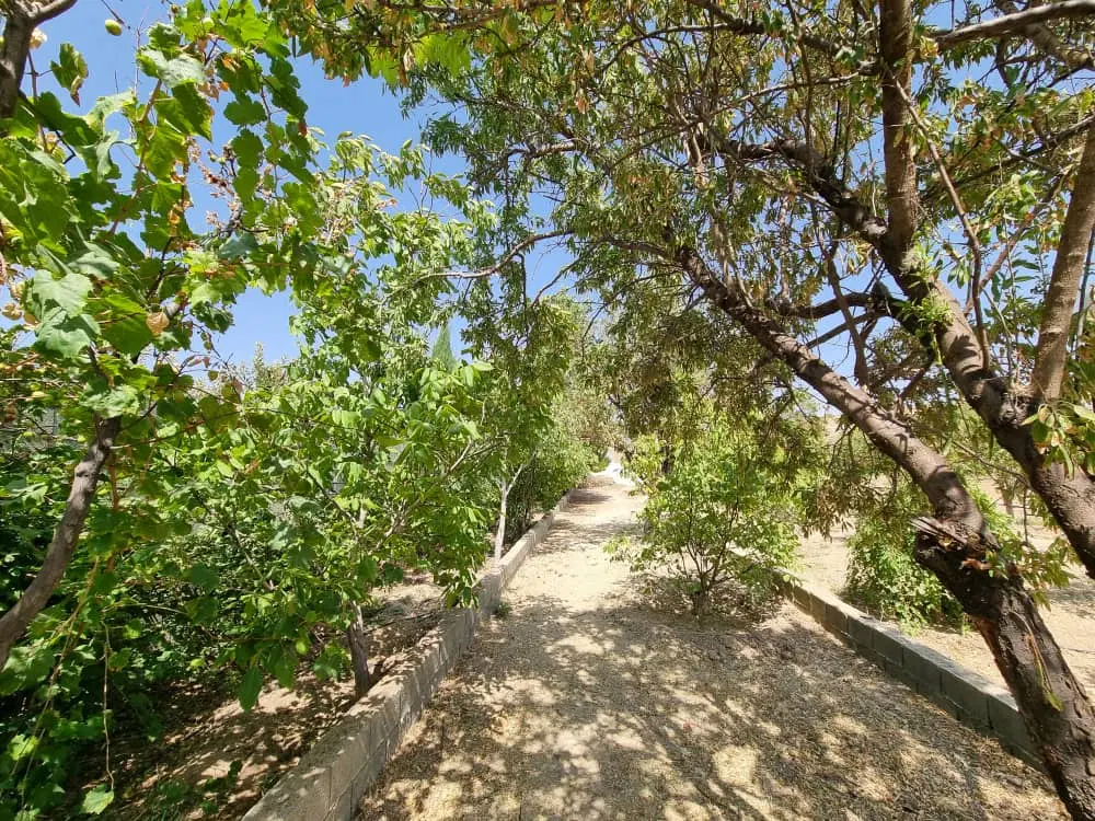 زمین باغشهری