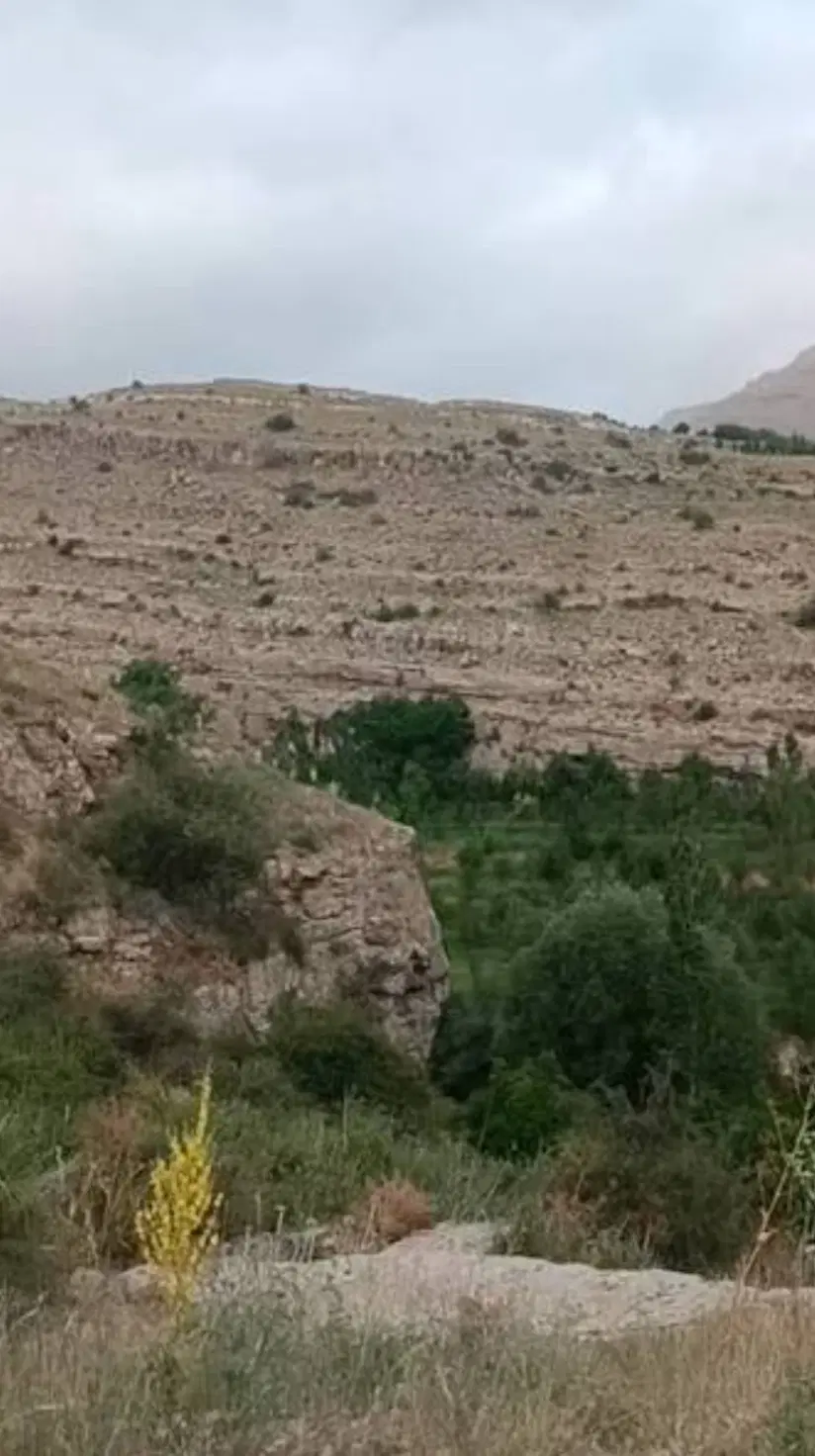 زمین چترود سردر ( ۶۰ قصب قابل تفکیک)
