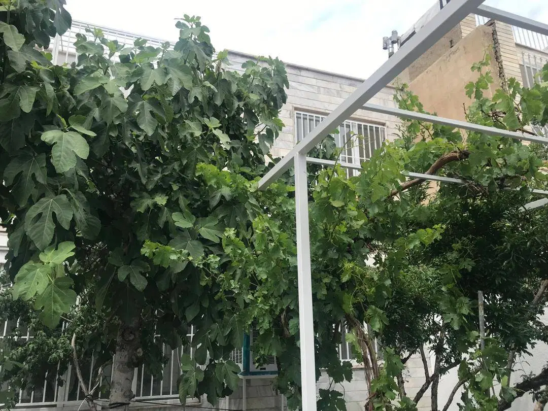 اجاره ویلایی گوهردشت_زیر قیمت