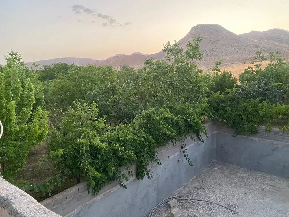 باغ فروشی
