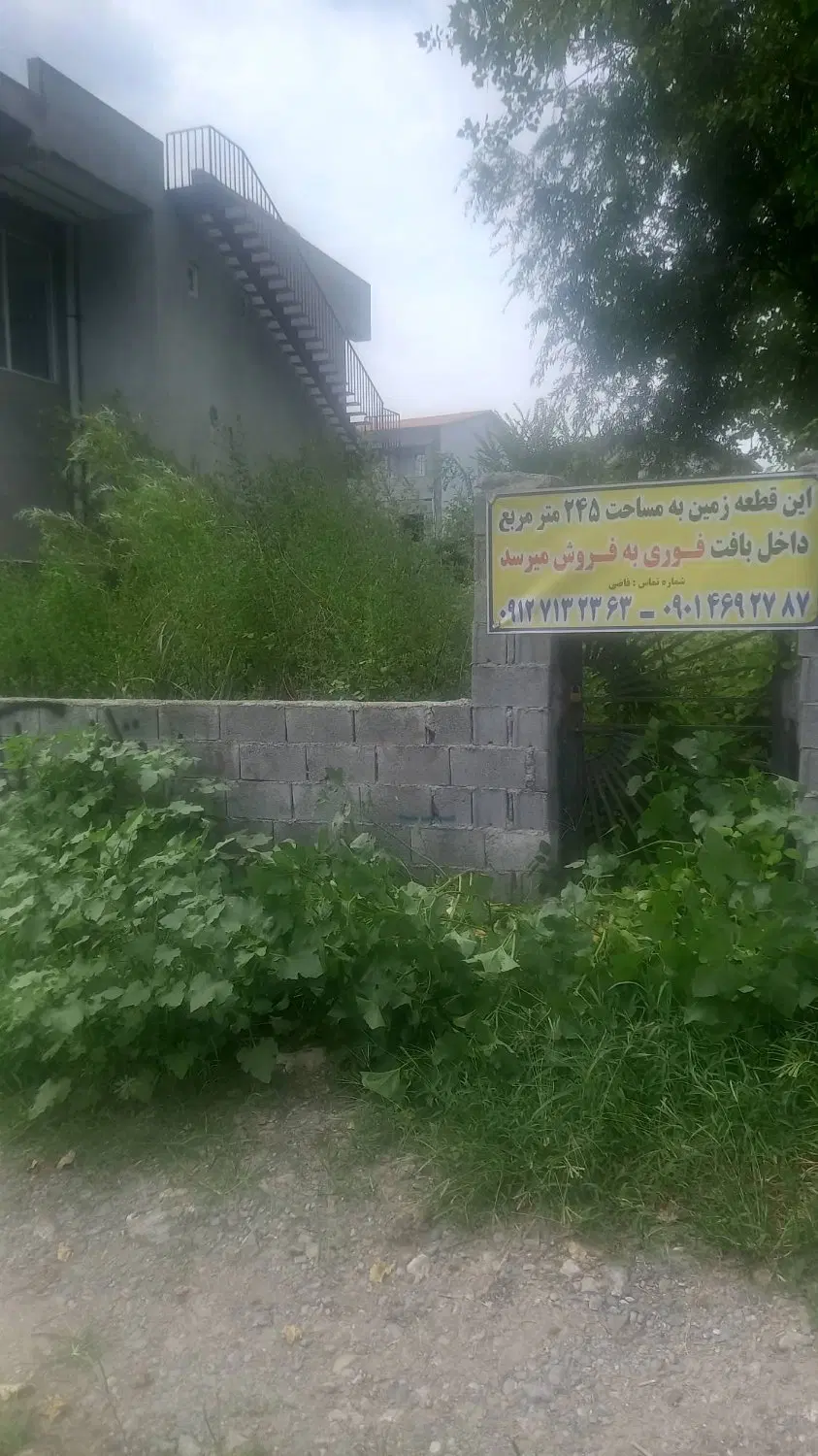 زمین