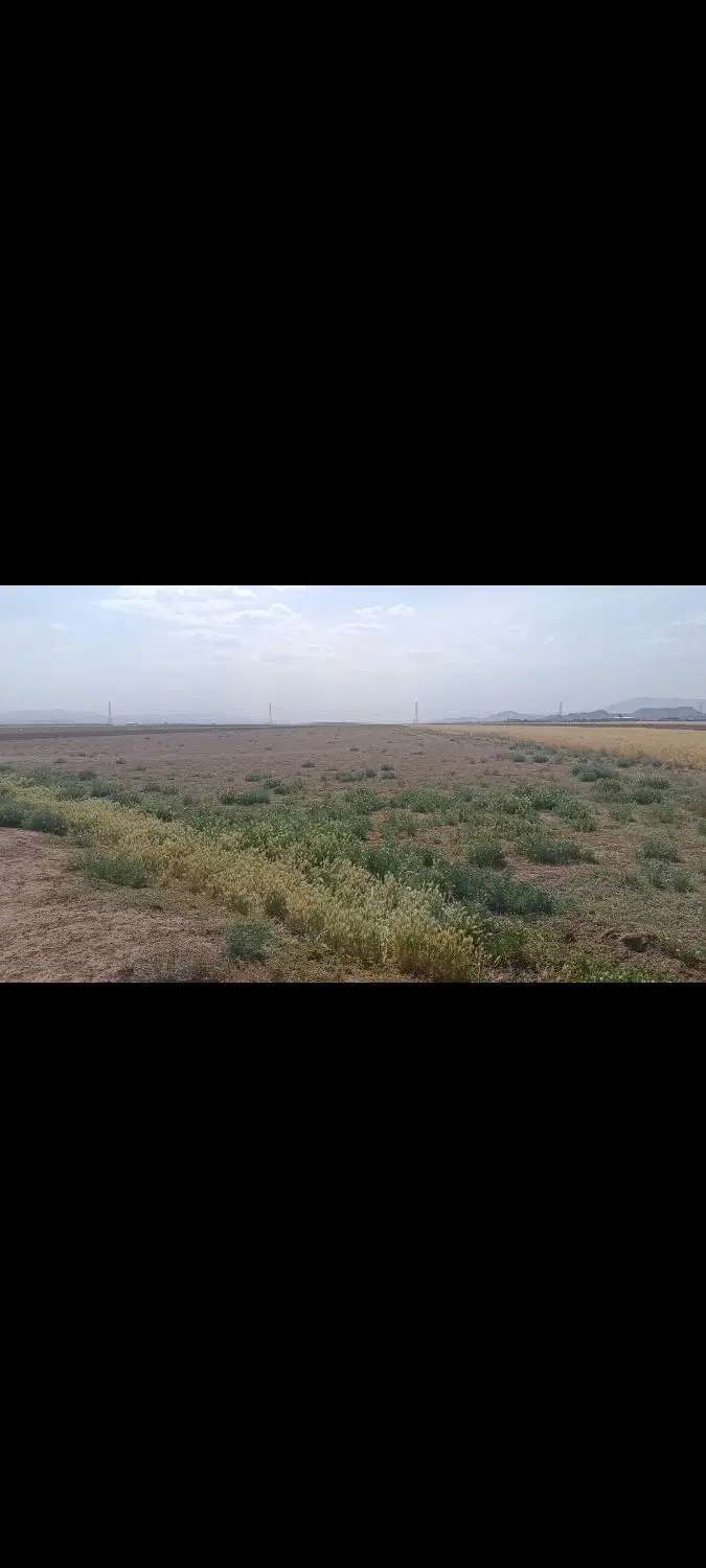 زمین کشاورزی مناسب باغ و باغچه