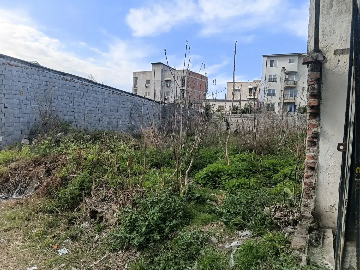 زمین مسکونی داخل شهر آمل