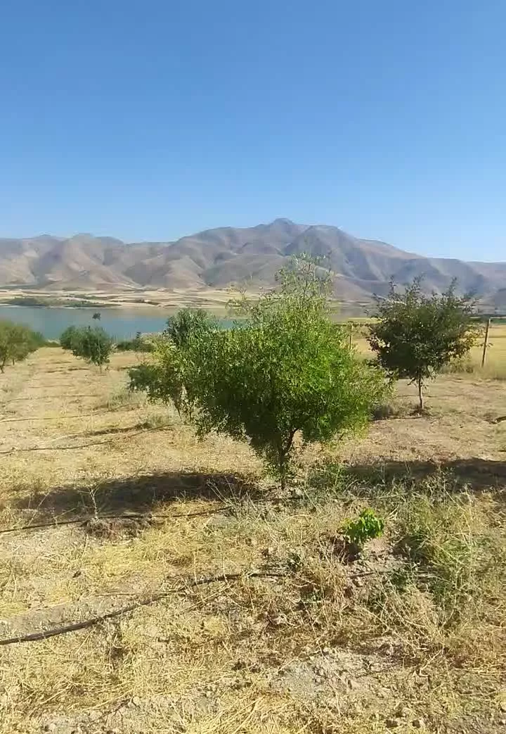 باغ گلویج