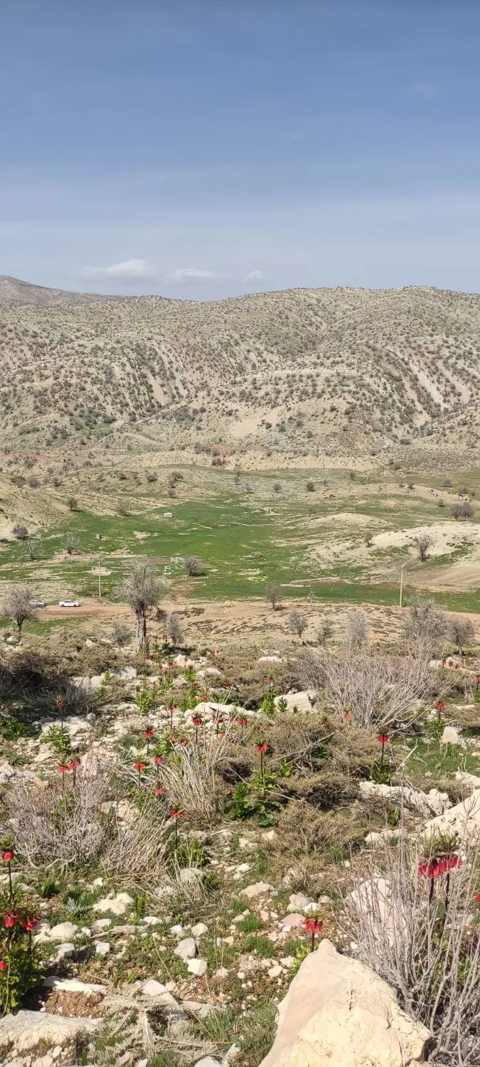 زمین آماده ساخت