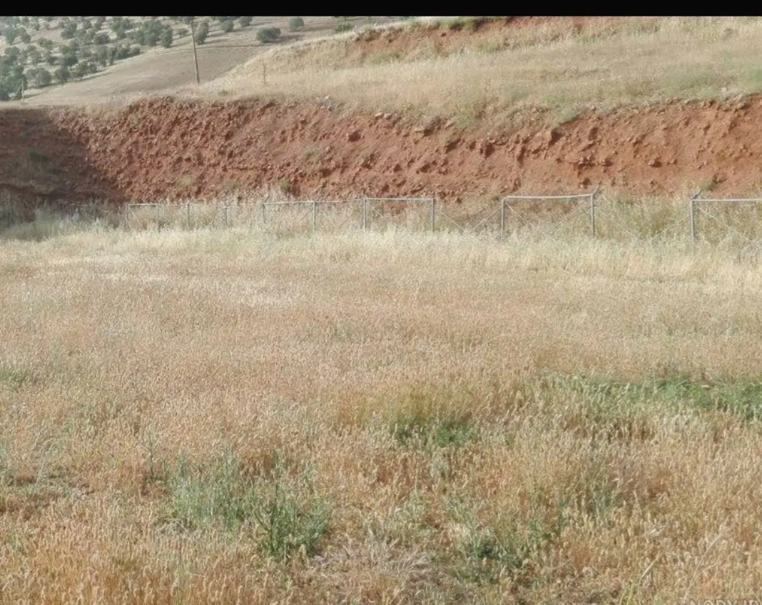 فروش زمین در علی آباد ورکانه