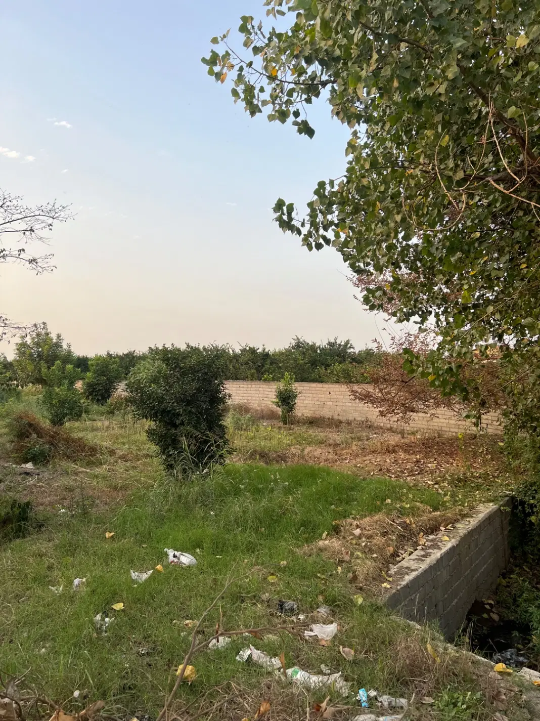 ۵۵۰ متر زمین بر اصلی کمر بندی  جانبازان