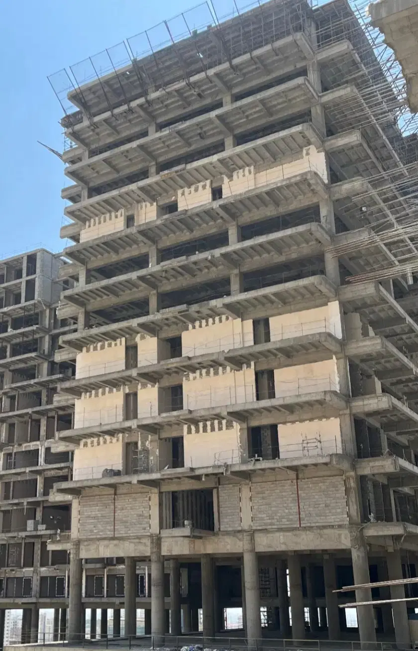 سهام شمشاد جنگلبانی