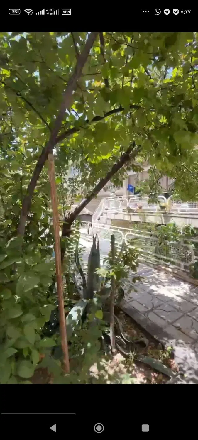 320متر کلنگی خیابان عسگریه
