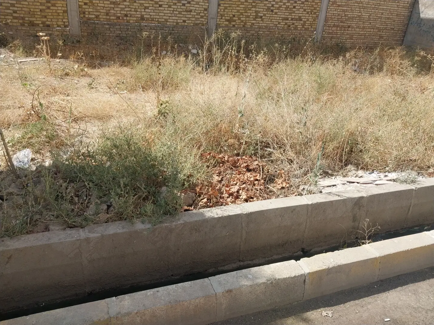 فروش ۲۵۰ متر زمین پشت تالار صدف