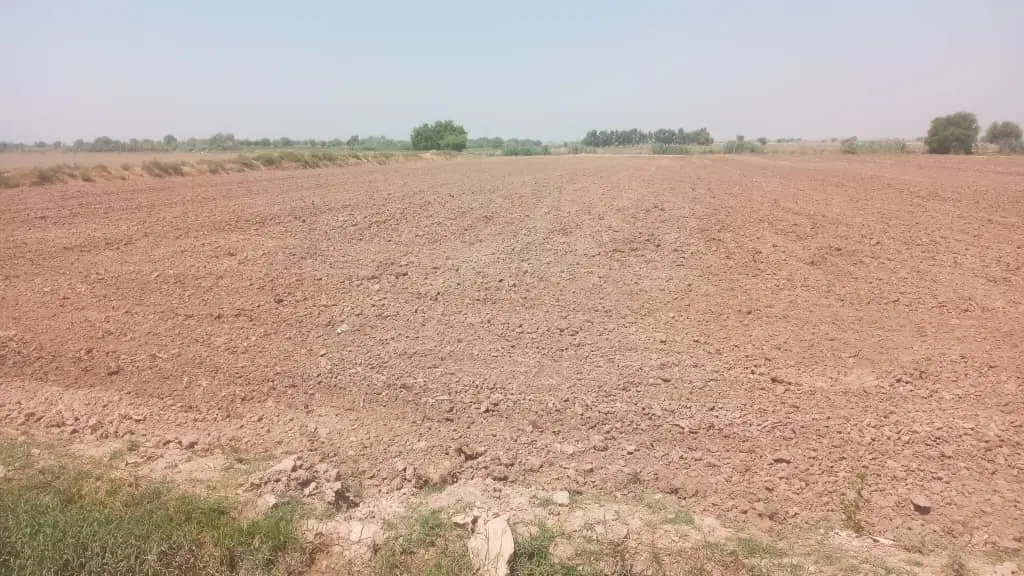 زمین کشاورزی