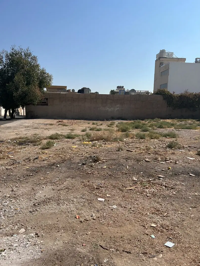 زمین