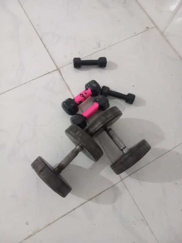 همخونه