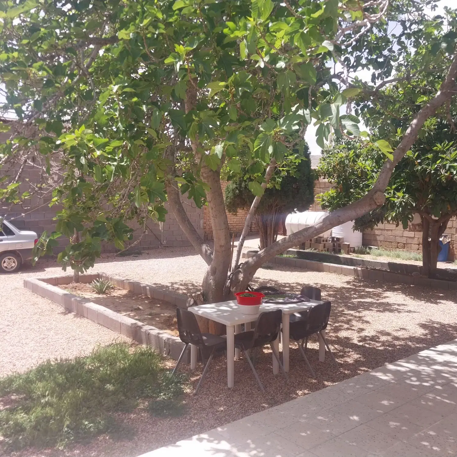 خونه باغ قدیمی.روستای کلستان طرح هادی