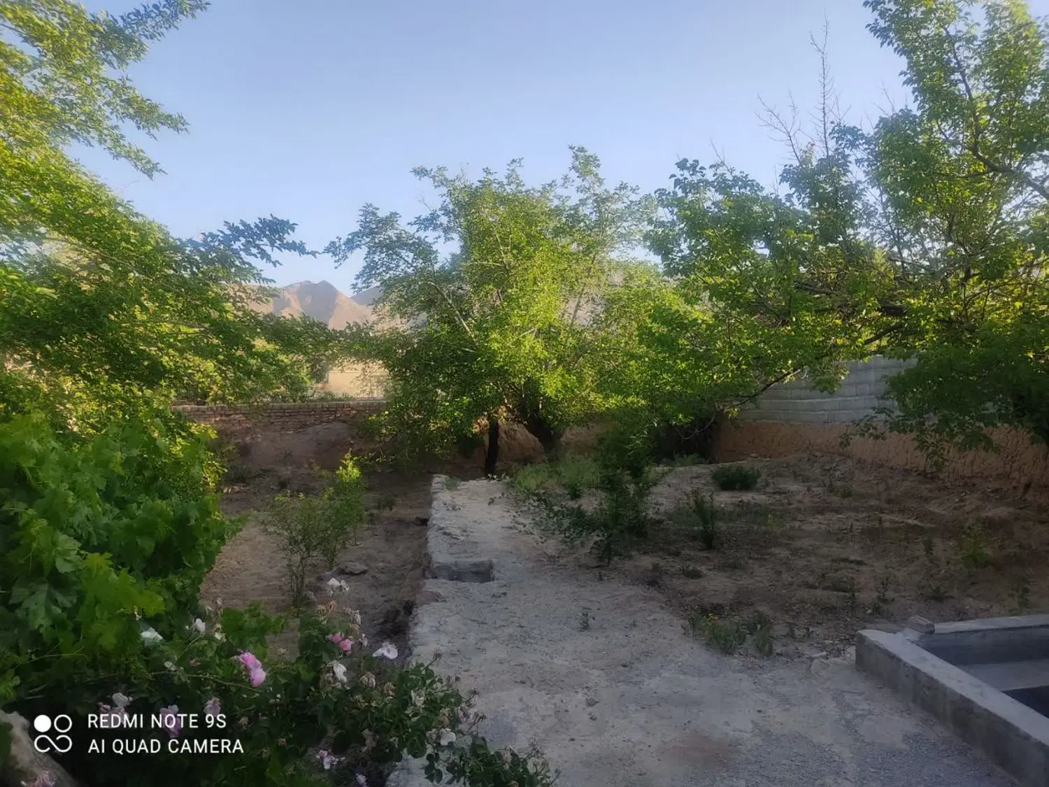 فروش خونه قدیمی در تنگ چنار(عباس آباد)