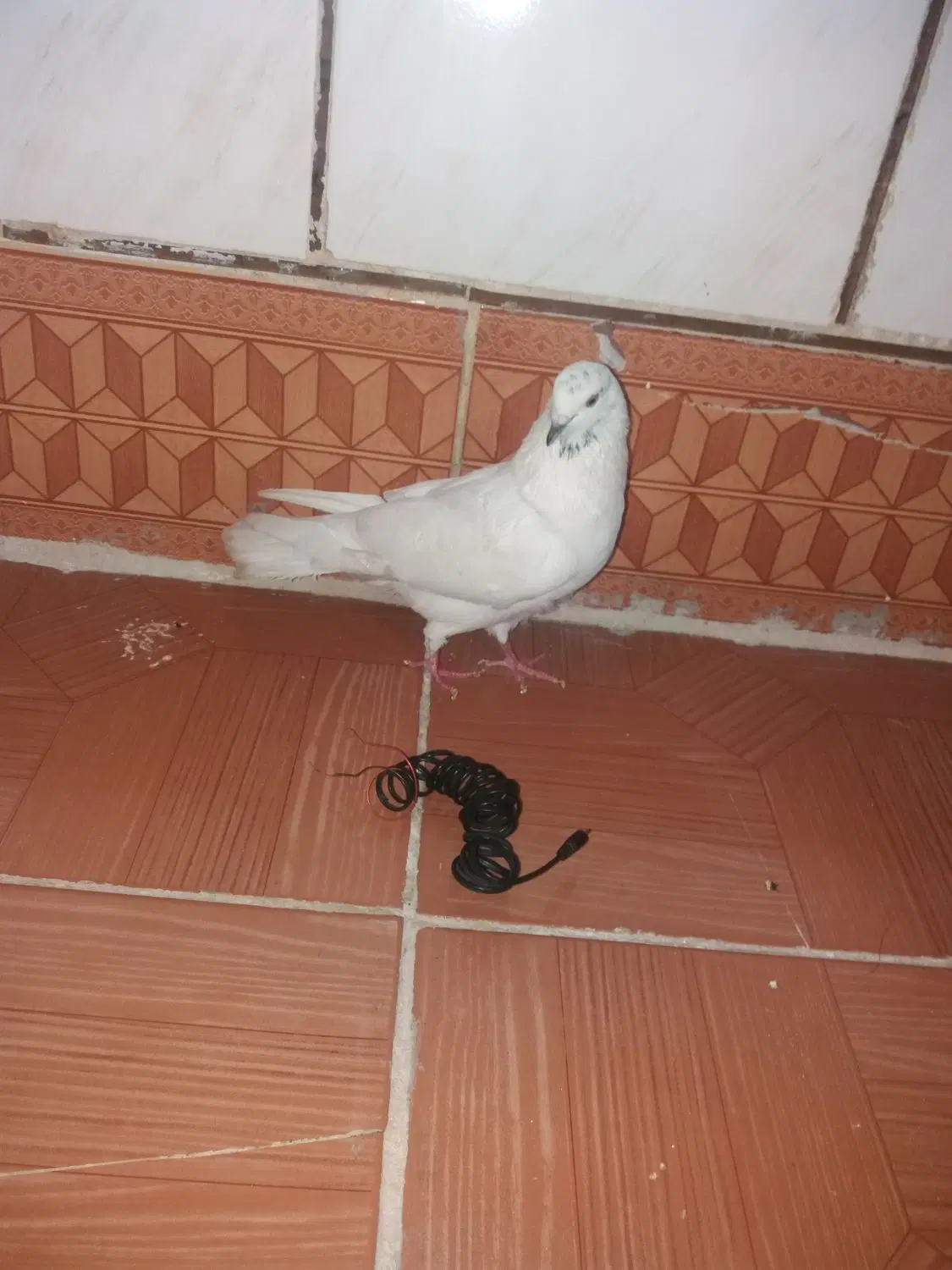 منزل یزدانشهر