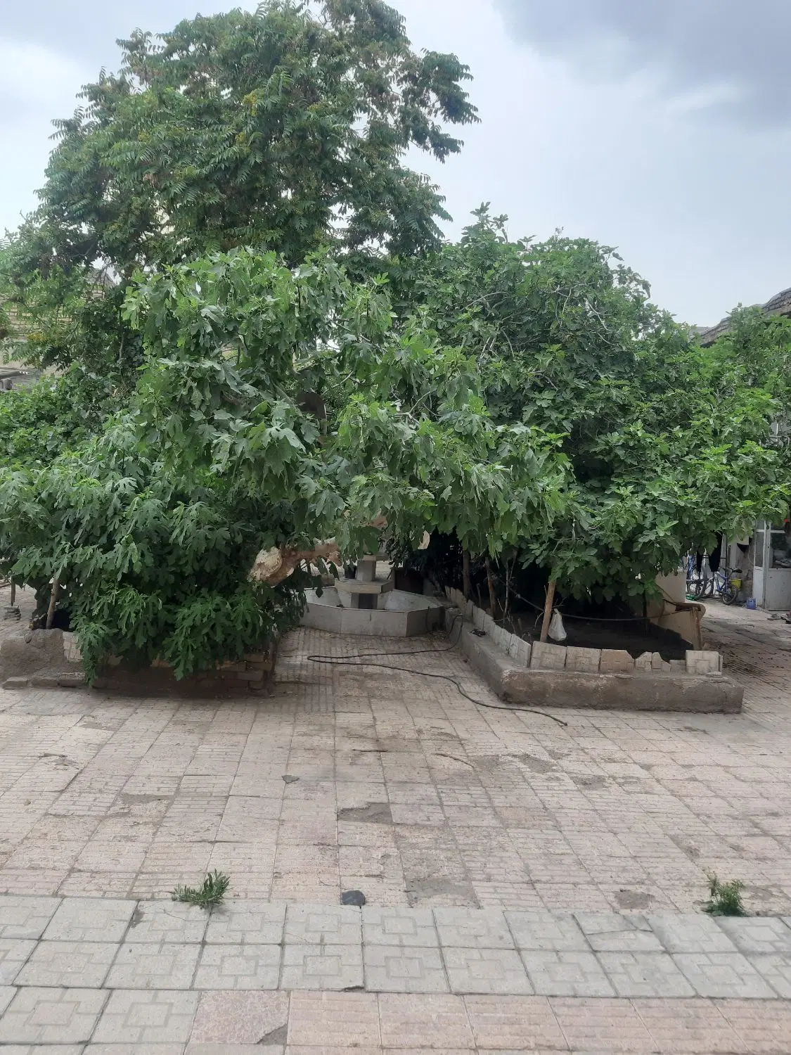فروش ملک ویلایی 465 متر
