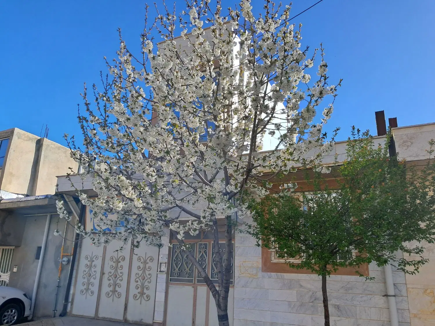 فروش منزل ویلایی