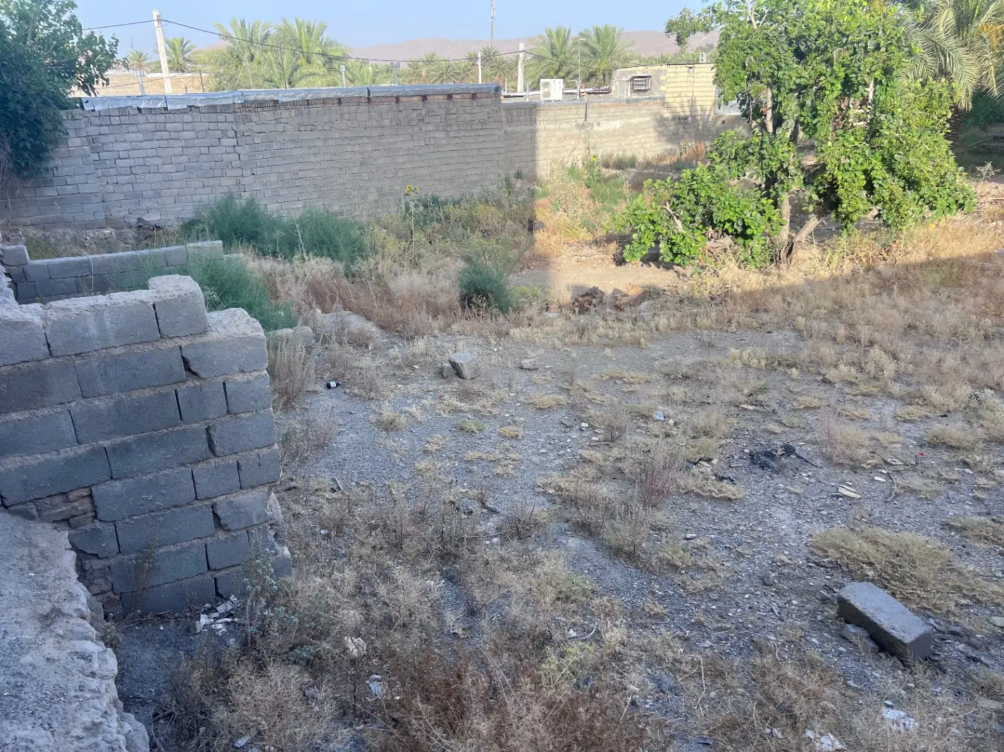 فروش زمین حاجی آباد