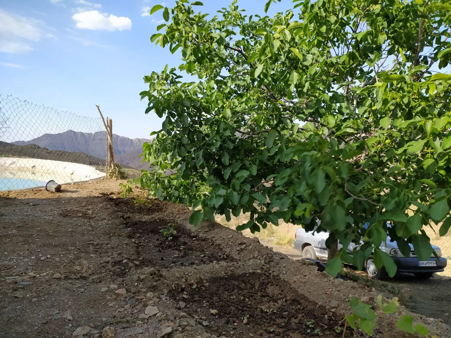 باغ فروشی برزک