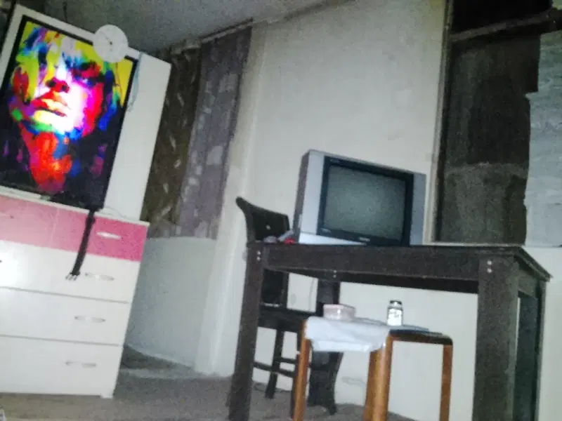 همخانه خانم نیازمندیم
