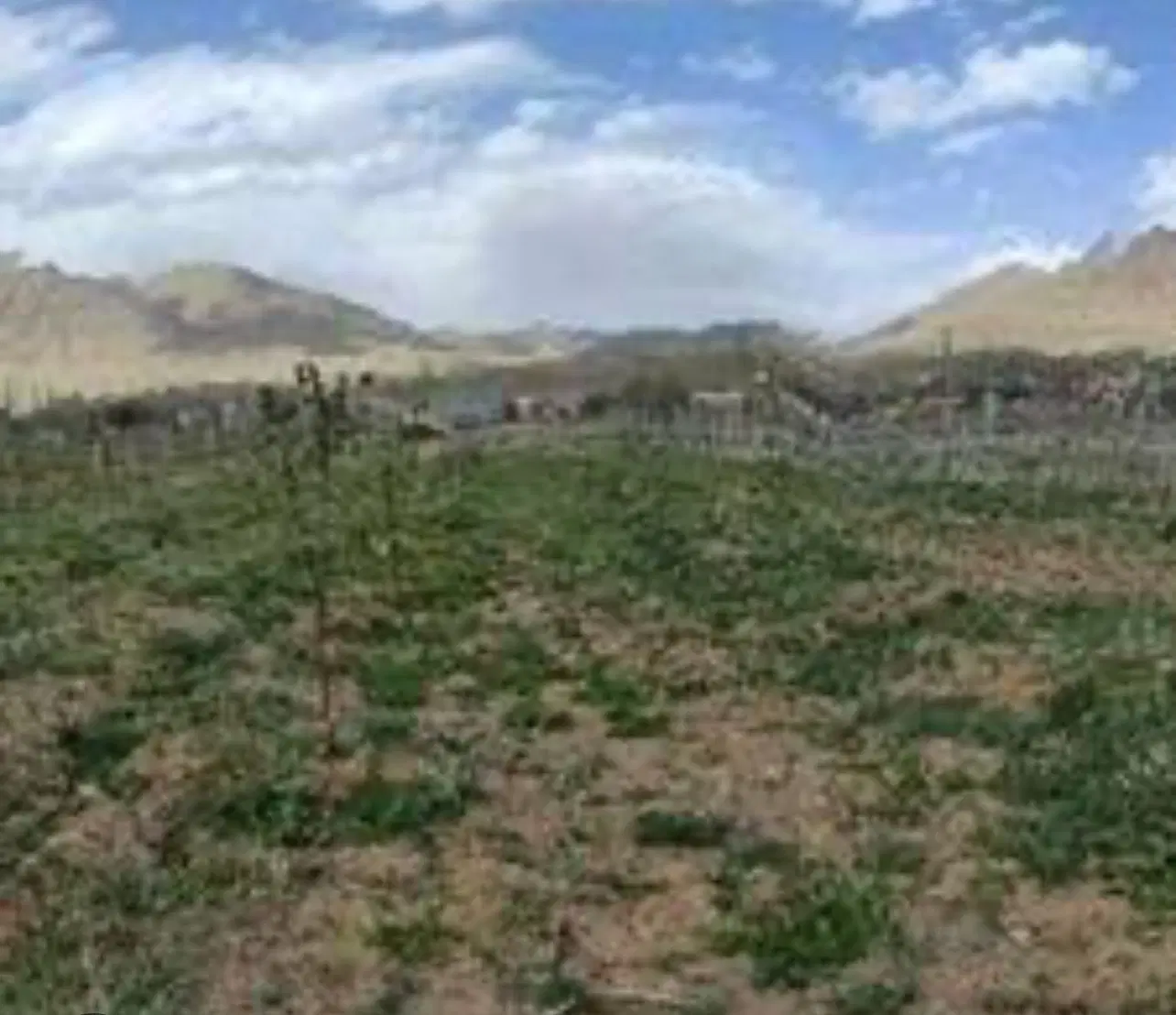 زمین مسکونی طرمزد