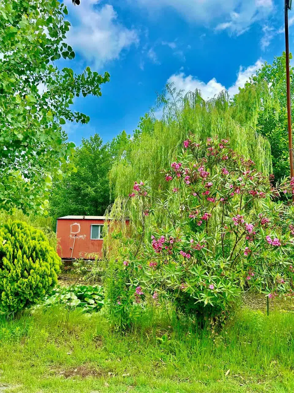 خرید ویلا در قلب طبیعت