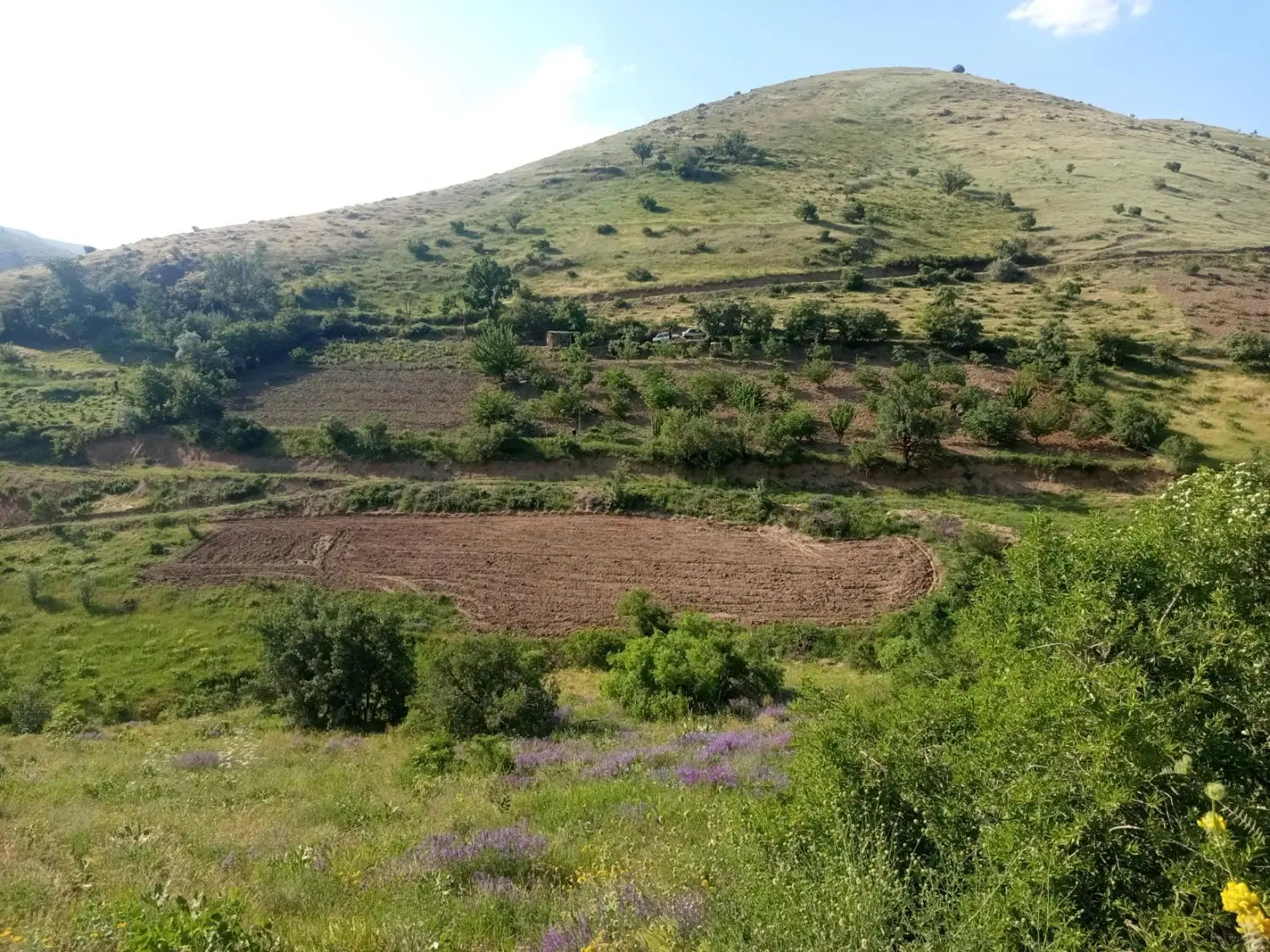 فروش خانه باغ