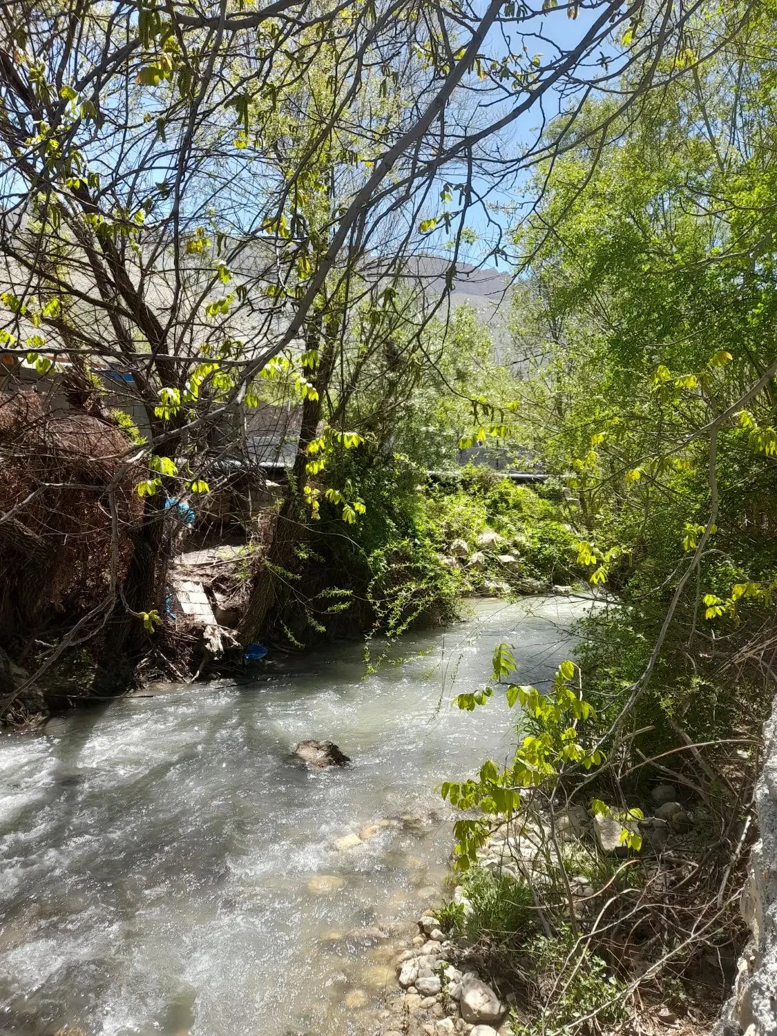 فروش سهام انارستان