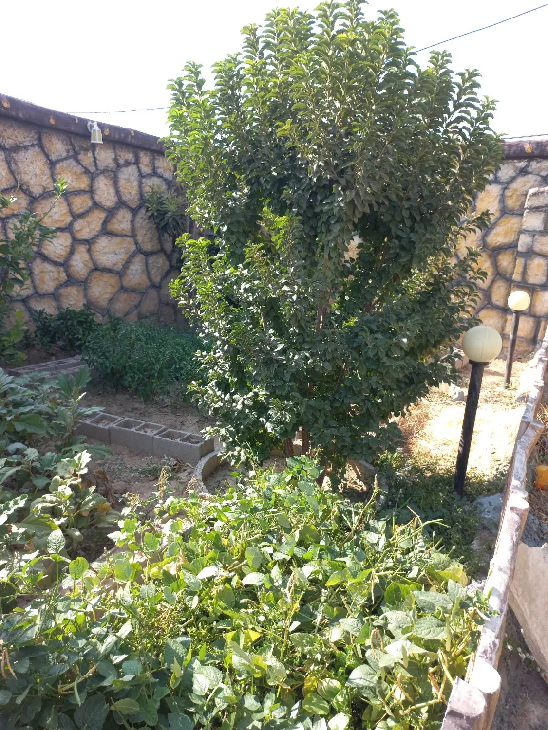 رهن کامل طبقه بالا