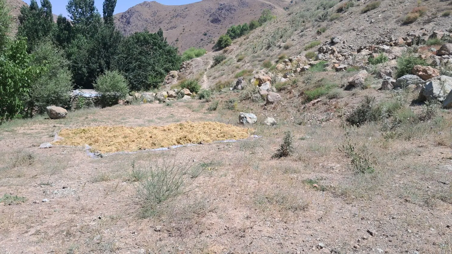 زمین ساختمان در روستای انجلبین