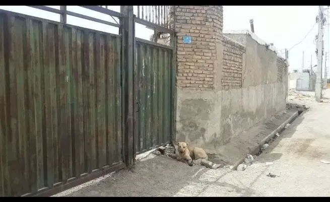 گاراژ ۲۰۰۰ متری با دفتری. چهاردیواری