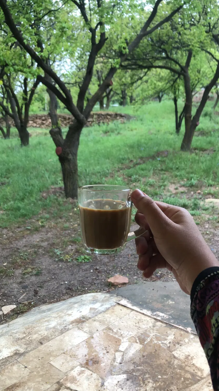 باغ دارای اب و برق و گاز بدون خانه