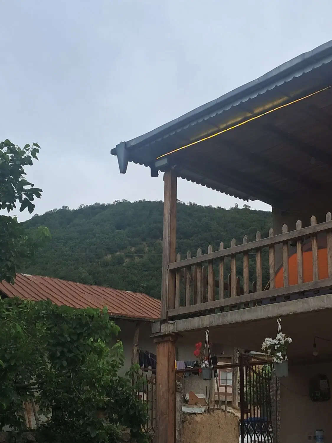 هم خونه