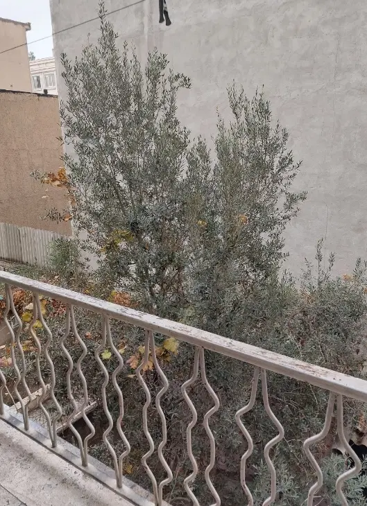 خانه قدیمی فروشی