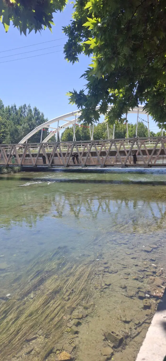 باغ مثمر و مشجر باغبادران