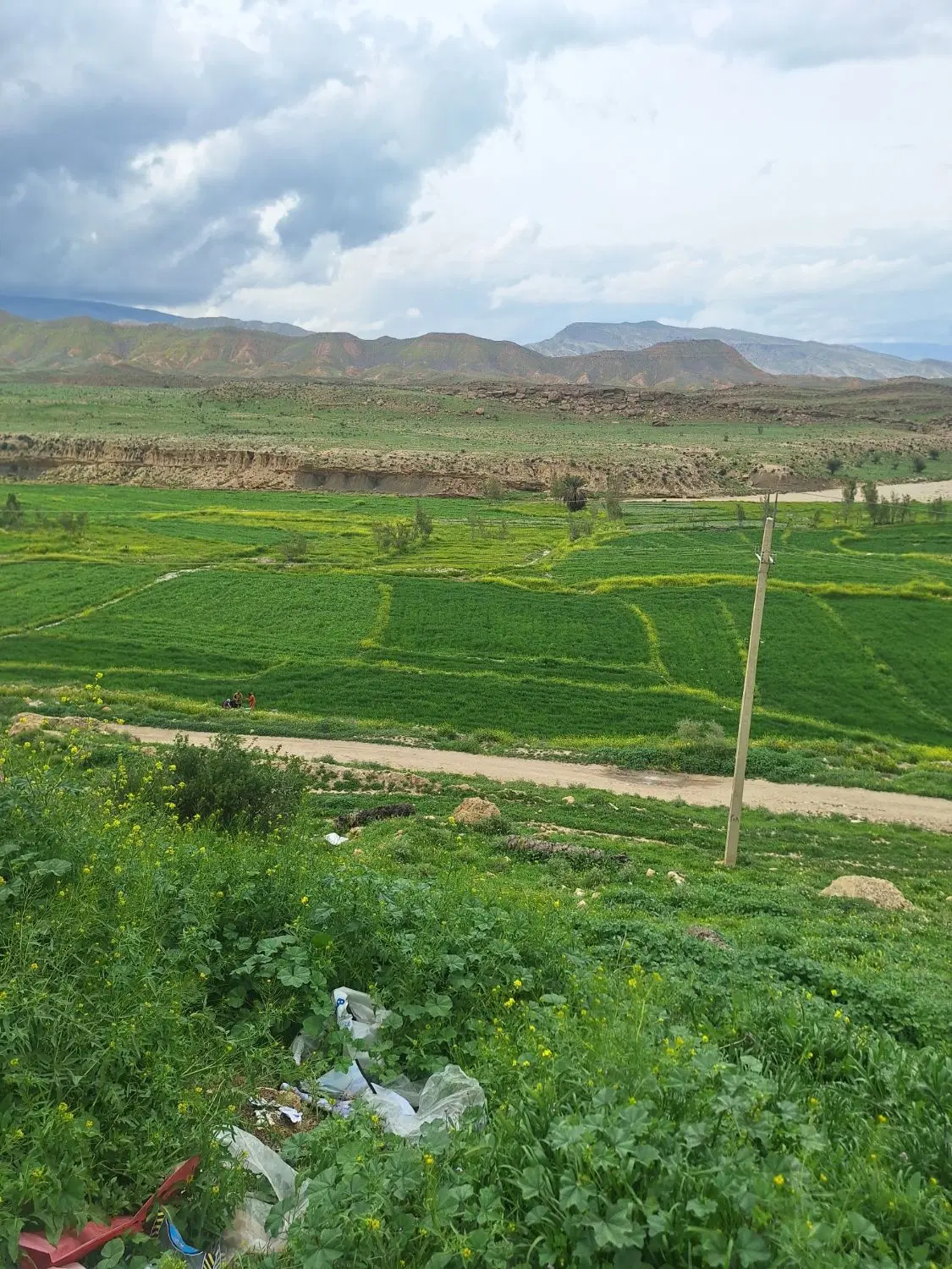 زمین نیکنیا