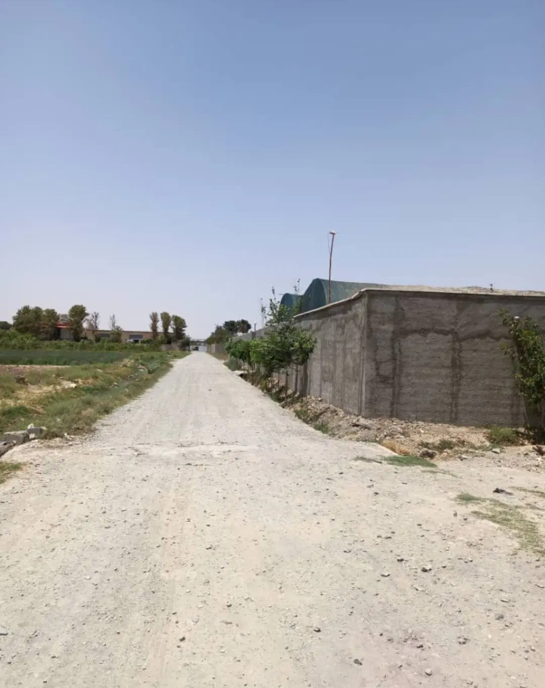 زمین باغ شهری